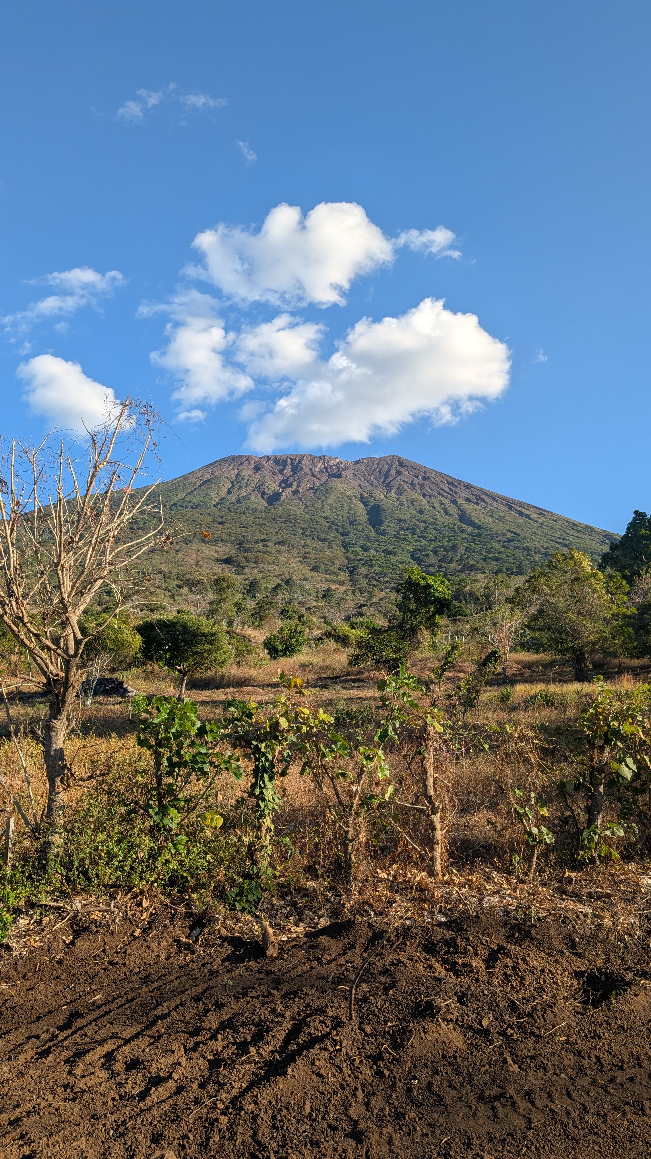 Camping + Caminata al Volcan de San Miguel